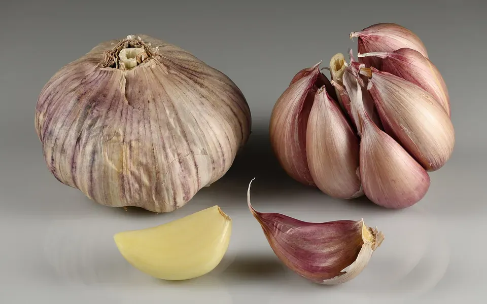 Ail, ingrédient principal de cette recette