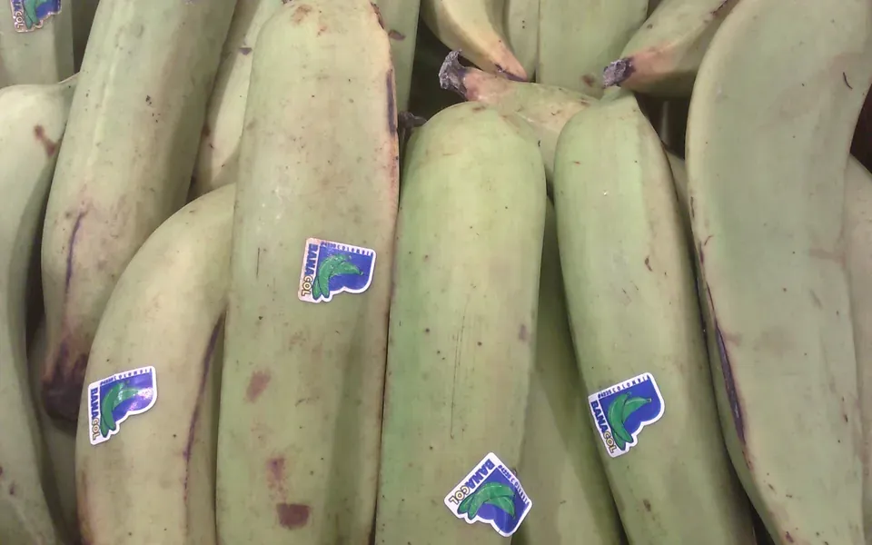 Banane plantain, ingrédient de cette page