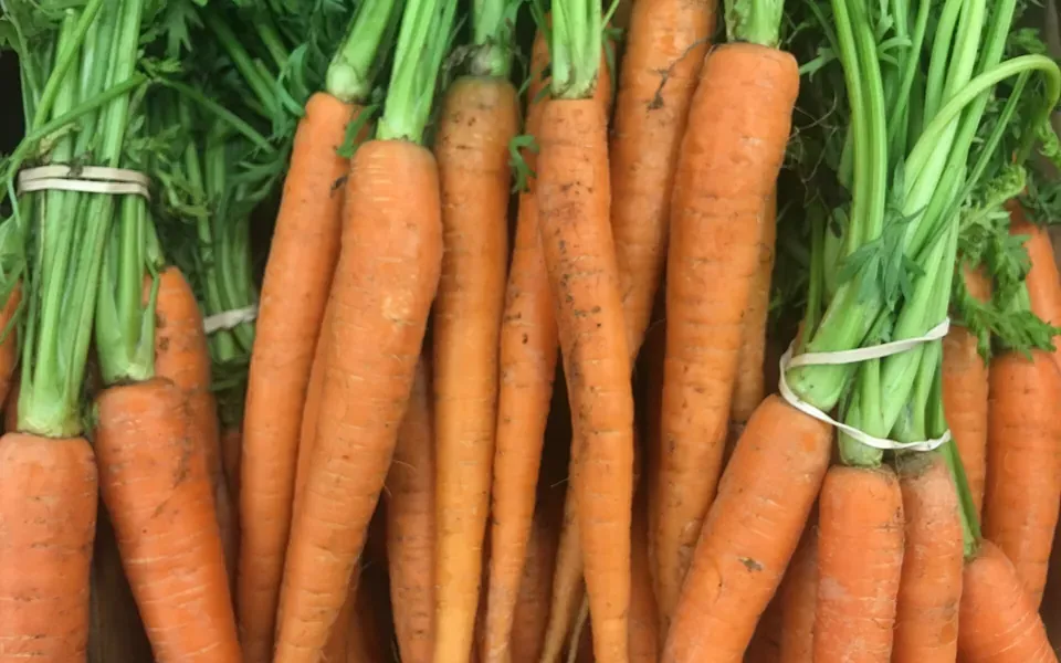 Carotte, ingrédient principal de cette recette