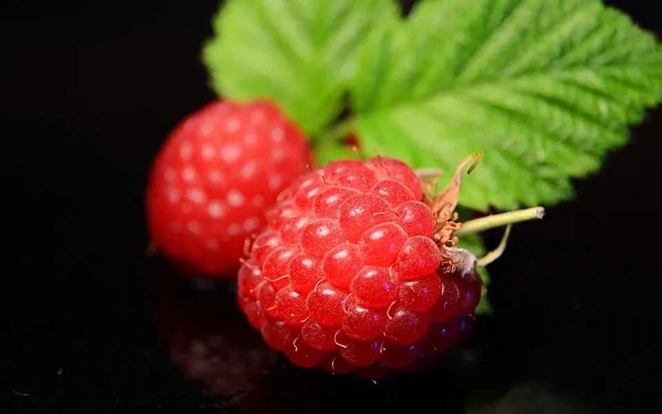 Framboise, ingrédient principal de cette recette