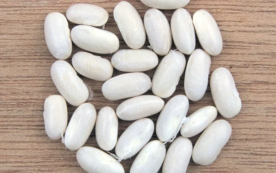 Haricot blanc, ingrédient de cette page