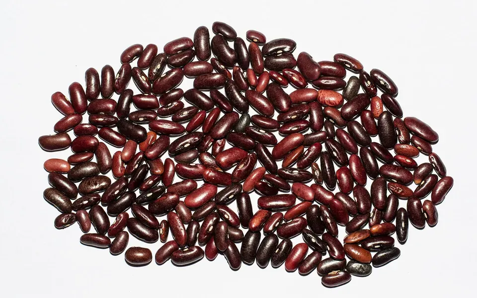 Haricot rouge, ingrédient de cette page