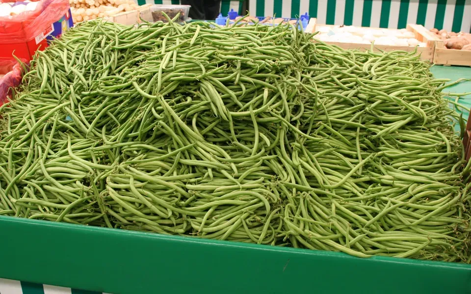 Haricot vert, ingrédient de cette page