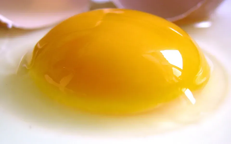 Jaune d'œuf, ingrédient de cette page