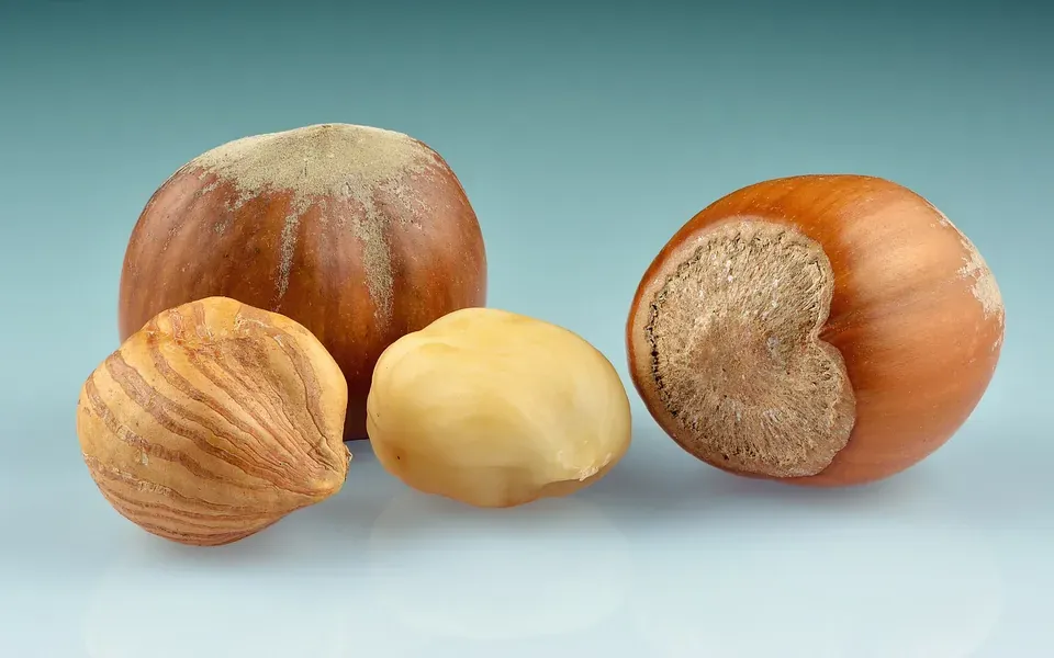 Noisette, ingrédient principal de cette recette