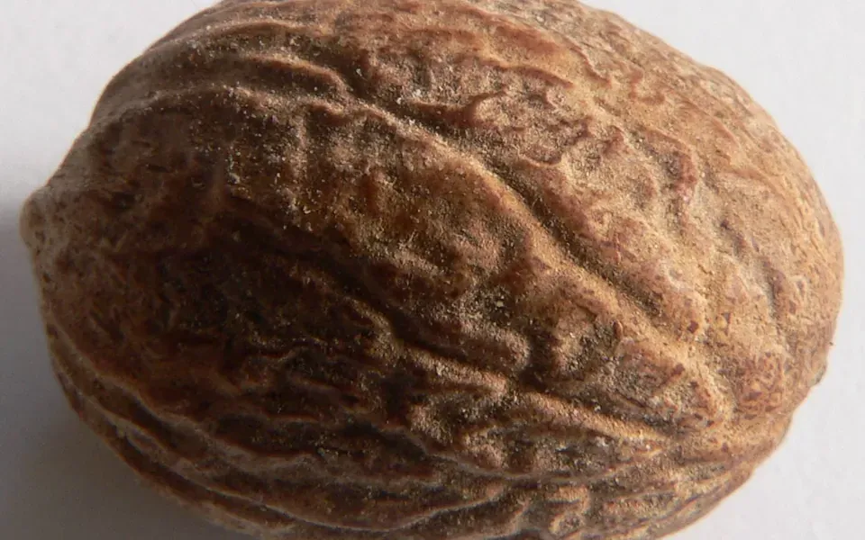 Noix de muscade, ingrédient principal de cette recette