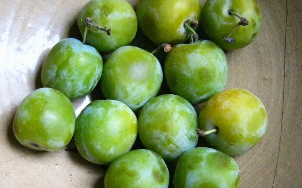 Prune, ingrédient principal de cette recette